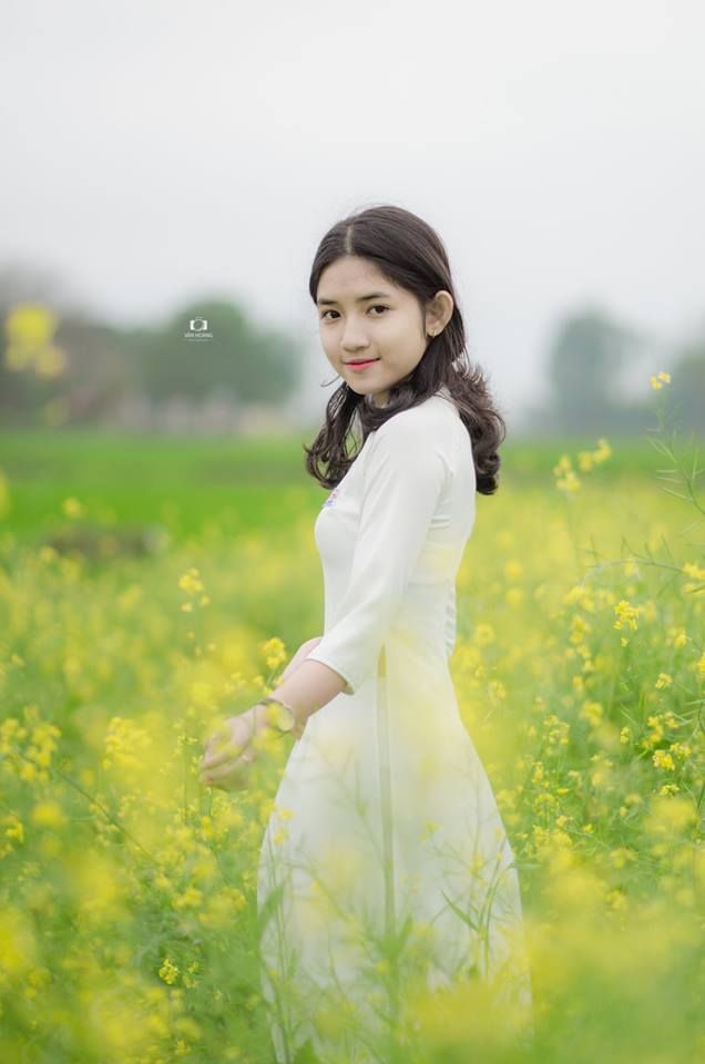 Bộ ảnh: Người con gái xứ Huế đẹp dịu dàng trên cánh đồng hoa cải | Váy hoa,  Váy cưới, Con gái