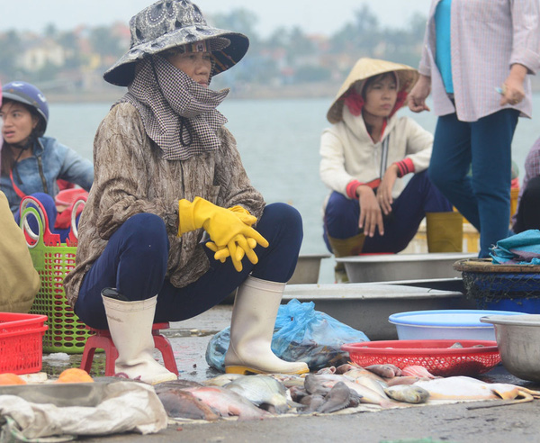 Vụ cá chết bất thường ở Bắc Trung Bộ: Nghiêm cấm bán cá chết - Báo Người lao động