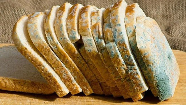 Có nguy hiểm không nếu ăn bánh mì đã bị mốc? | VIAM